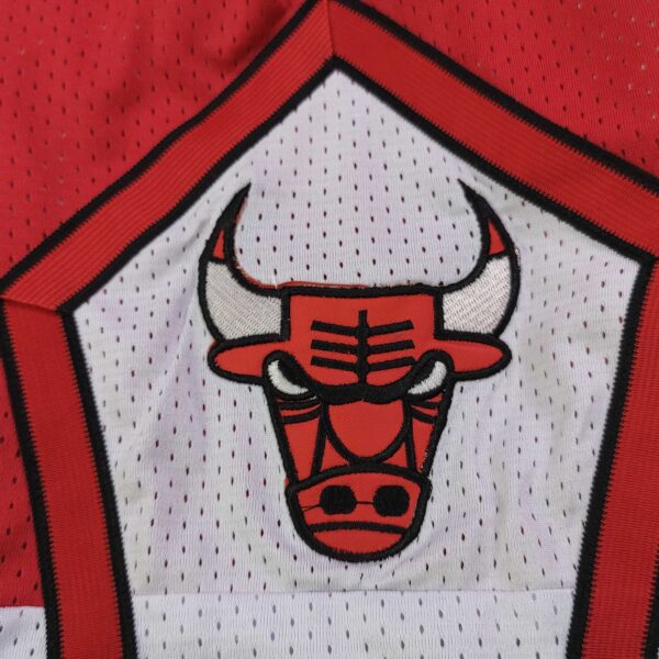⁦מכנסי NBA שיקגו בולס⁩ – תמונה ⁦4⁩